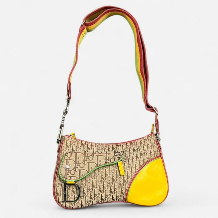 Christian Dior Rasta double saddle bag