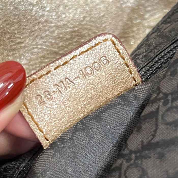 Christian Dior champagne small gaucho bag