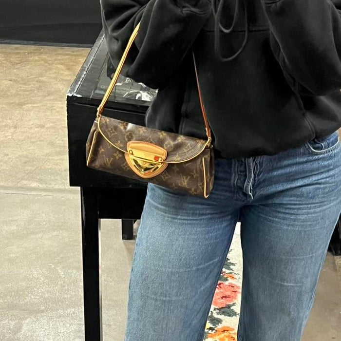 Louis Vuitton Beverley PM bag