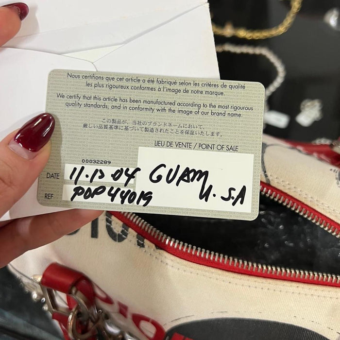 Dior hardcore Boston bag